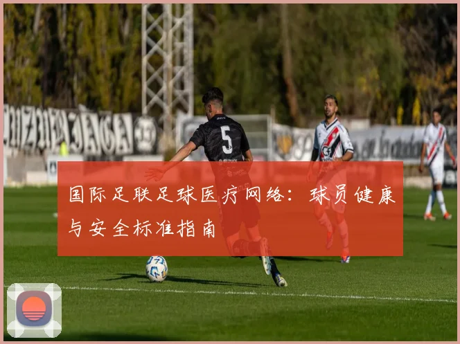 国际足联足球医疗网络：球员健康与安全标准指南
