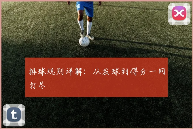 排球规则详解:从发球到得分一网打尽